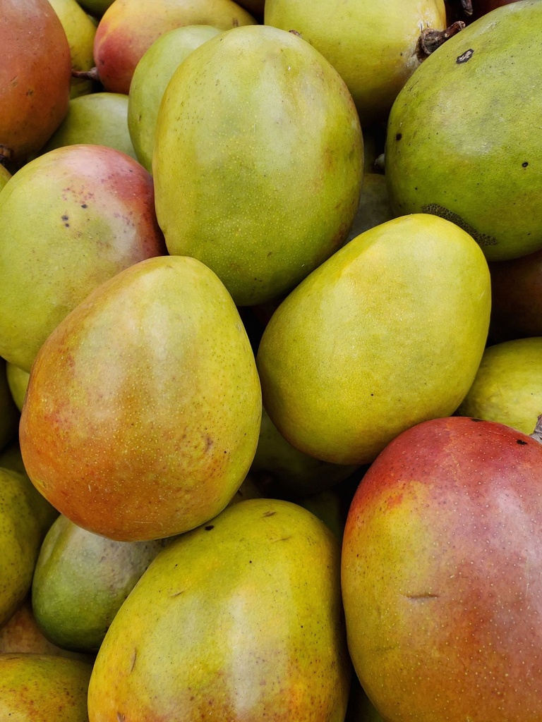 [8067] Esencia Mango W